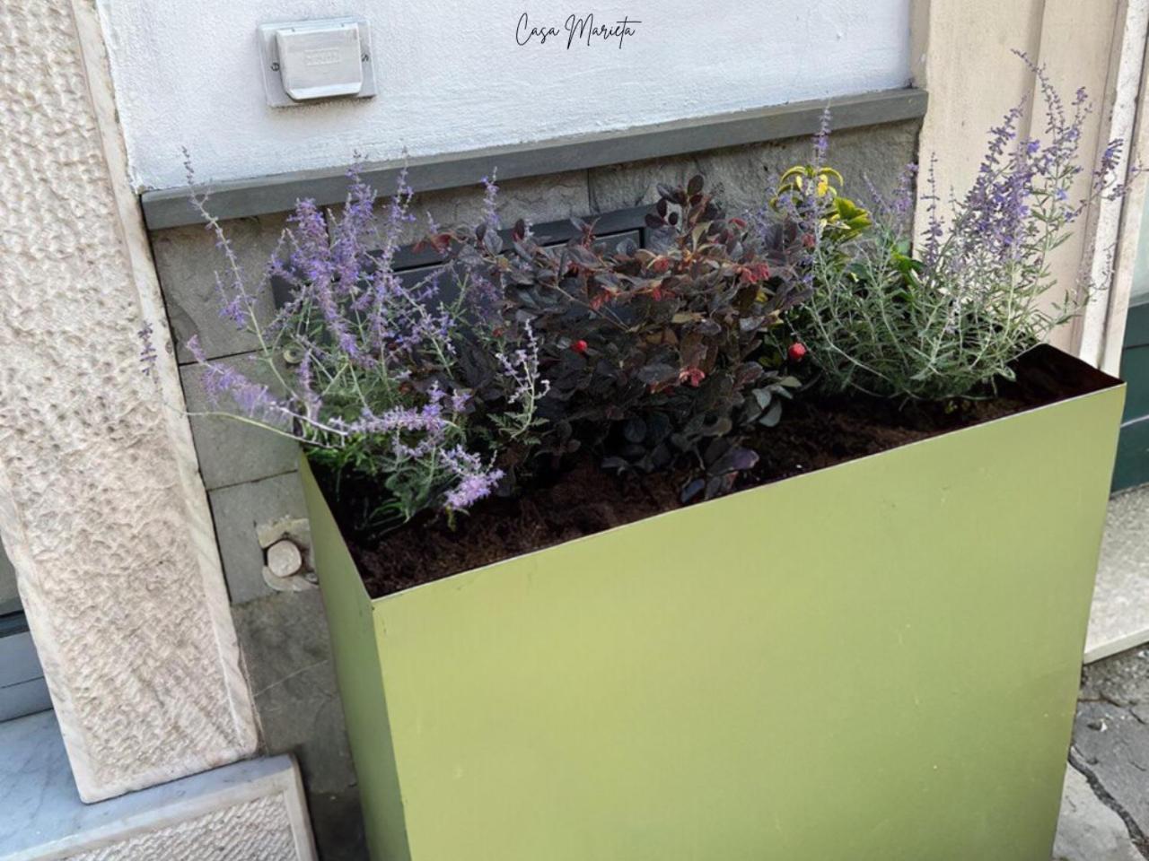 Marieta Rooms Sarzana Εξωτερικό φωτογραφία